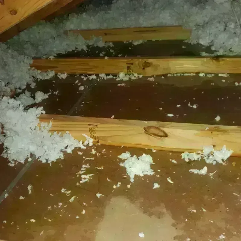 Attic Water Damage in Agoura, CA